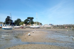 IMG_20230408_120753_597