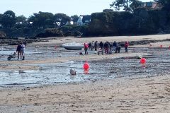 IMG_20230408_120831_303-scaled