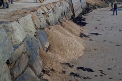 IMG_20231125_112756_247