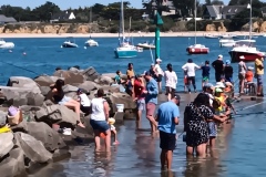 IMG_20250807_154427_285