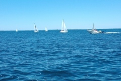 IMG_20220806_144322_759