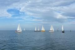 IMG-20210812-WA0019