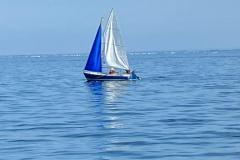 IMG-20210812-WA0030