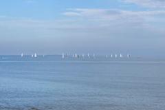 IMG-20210812-WA0033