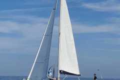 IMG-20210813-WA0039