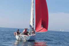 IMG-20210813-WA0041