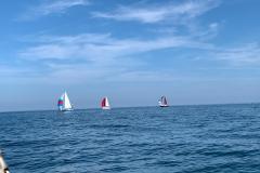 IMG-20210813-WA0054