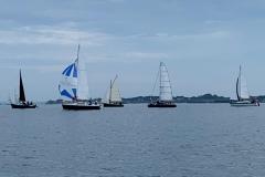 IMG-20210813-WA0066