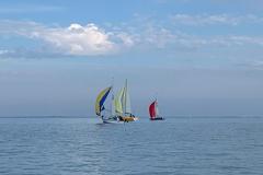 IMG-20210813-WA0067