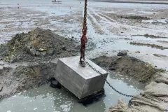 IMG_20230322_174355_803-1-1