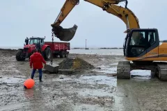 IMG_20230322_174355_725-1-1